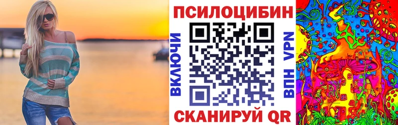 Псилоцибиновые грибы Psilocybe  Купить  Чегем 