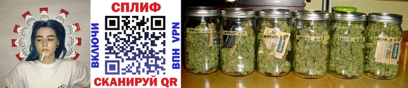 Купить закладки  Чегем  Марихуана конопля 